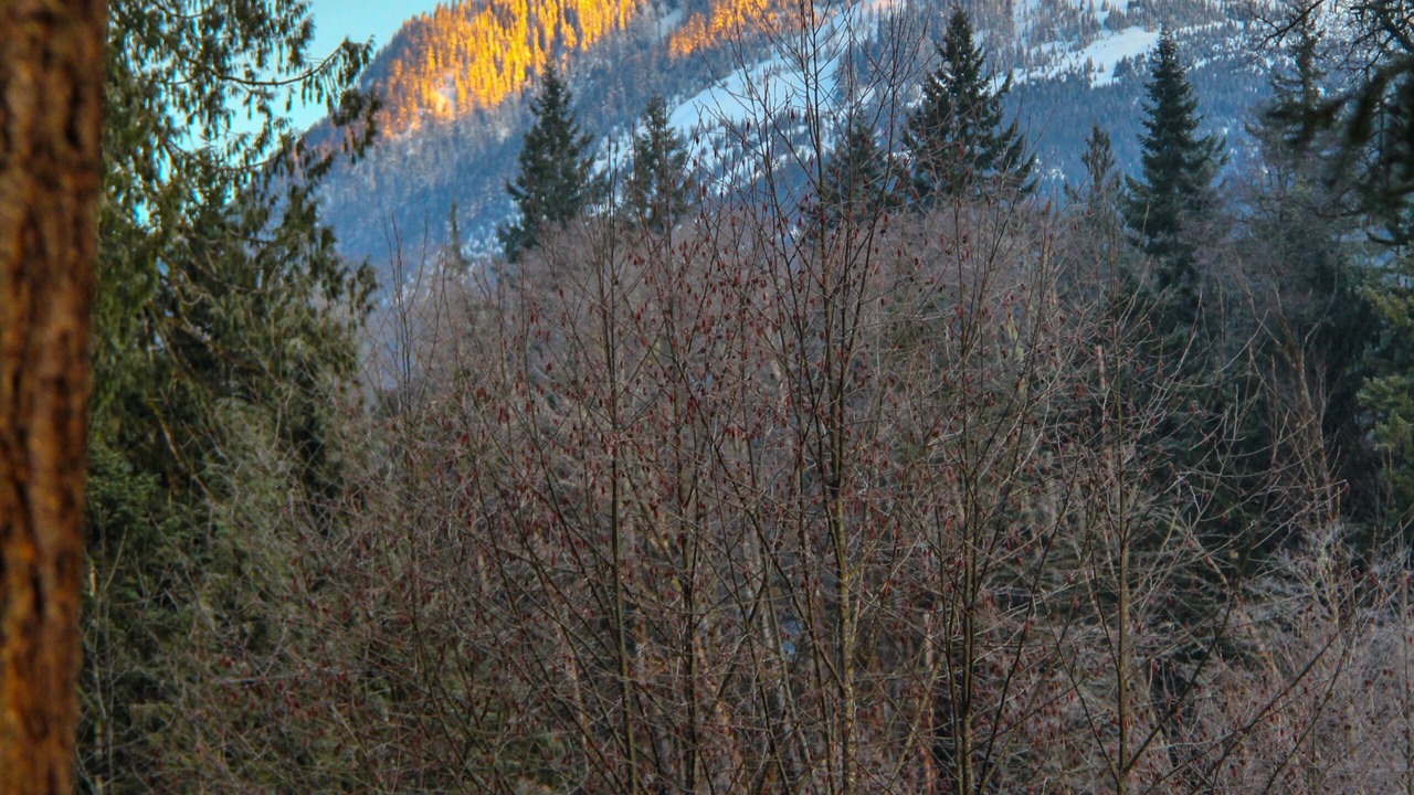 Photo of Others in Skykomish