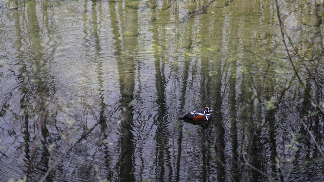 Photo of Others in Skykomish