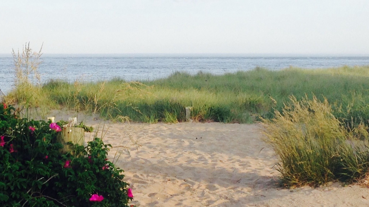 Photo of Outdoor in Siasconset