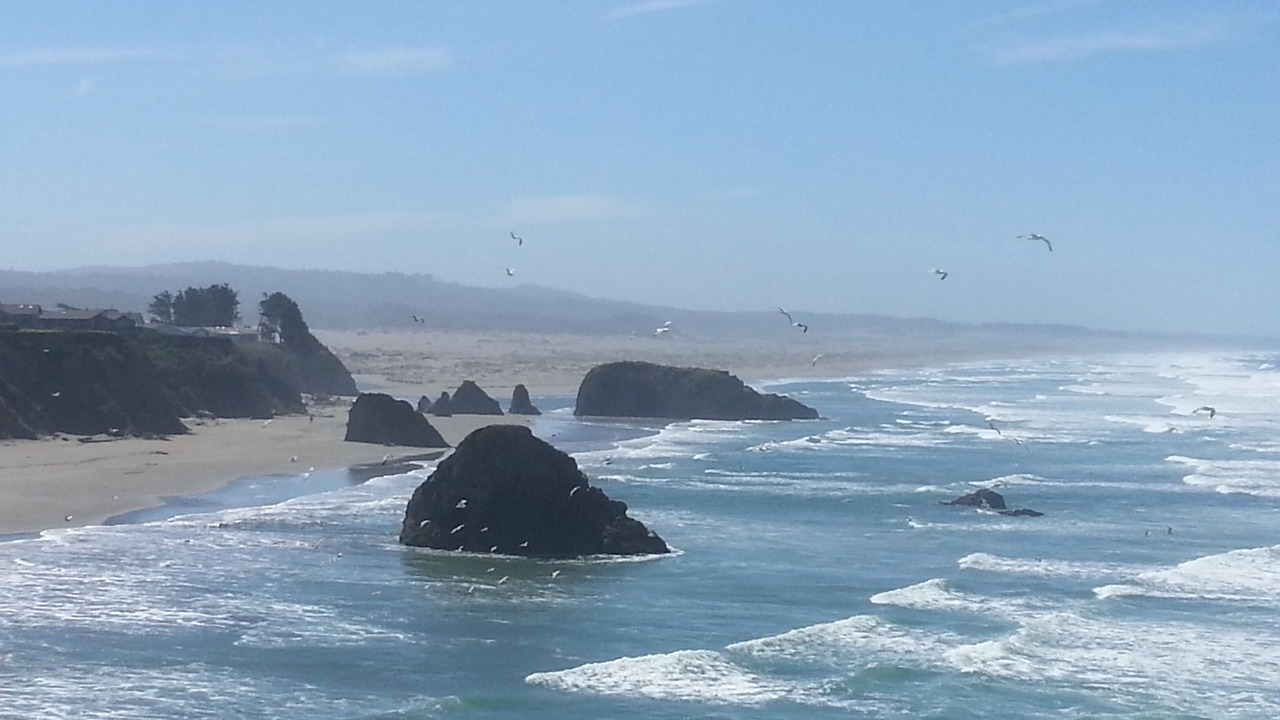 Photo of Outdoor in Fort Bragg