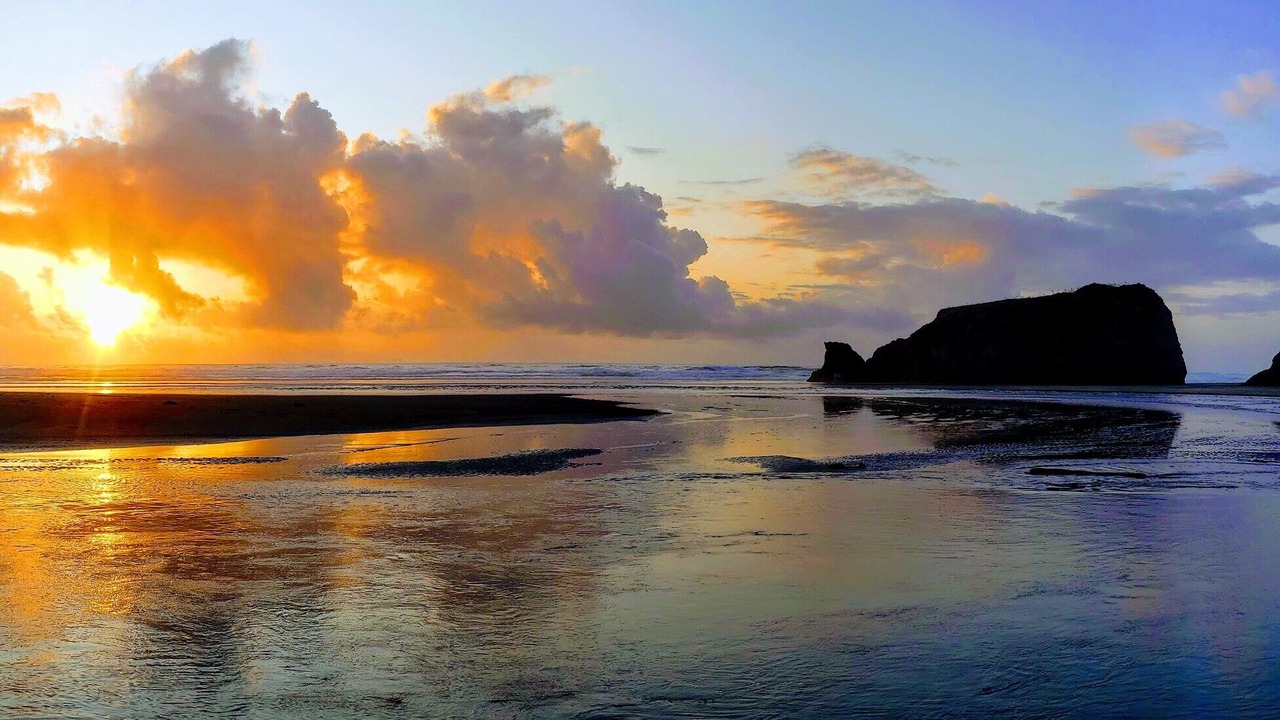 Photo of Others in Fort Bragg