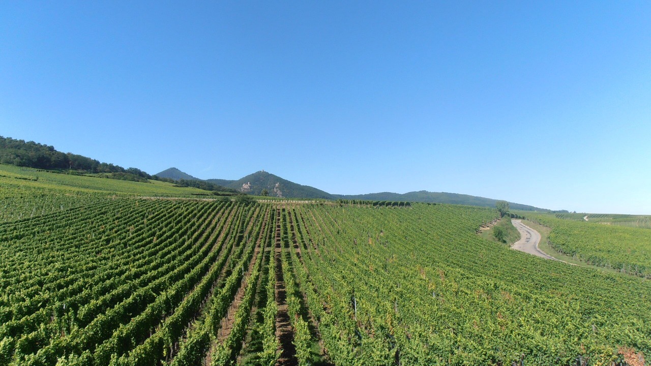 Photo of Outdoor in Hunawihr