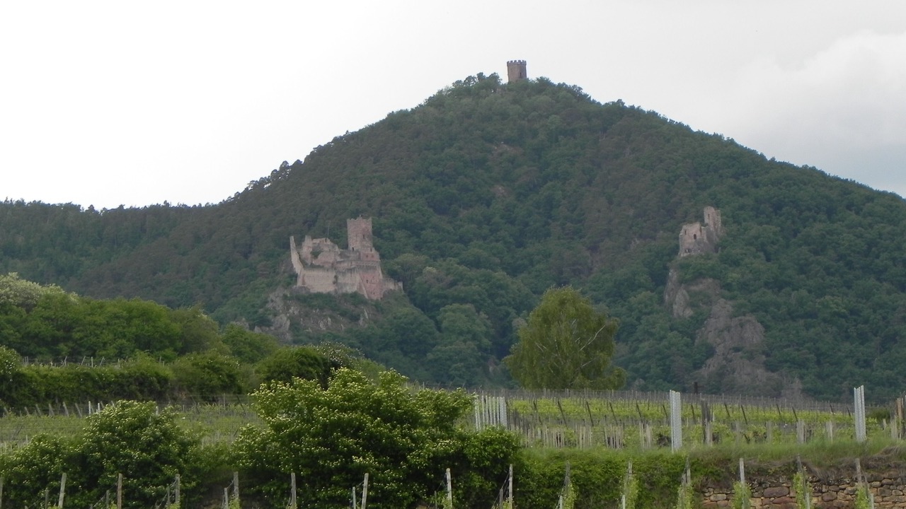 Photo of Outdoor in Hunawihr