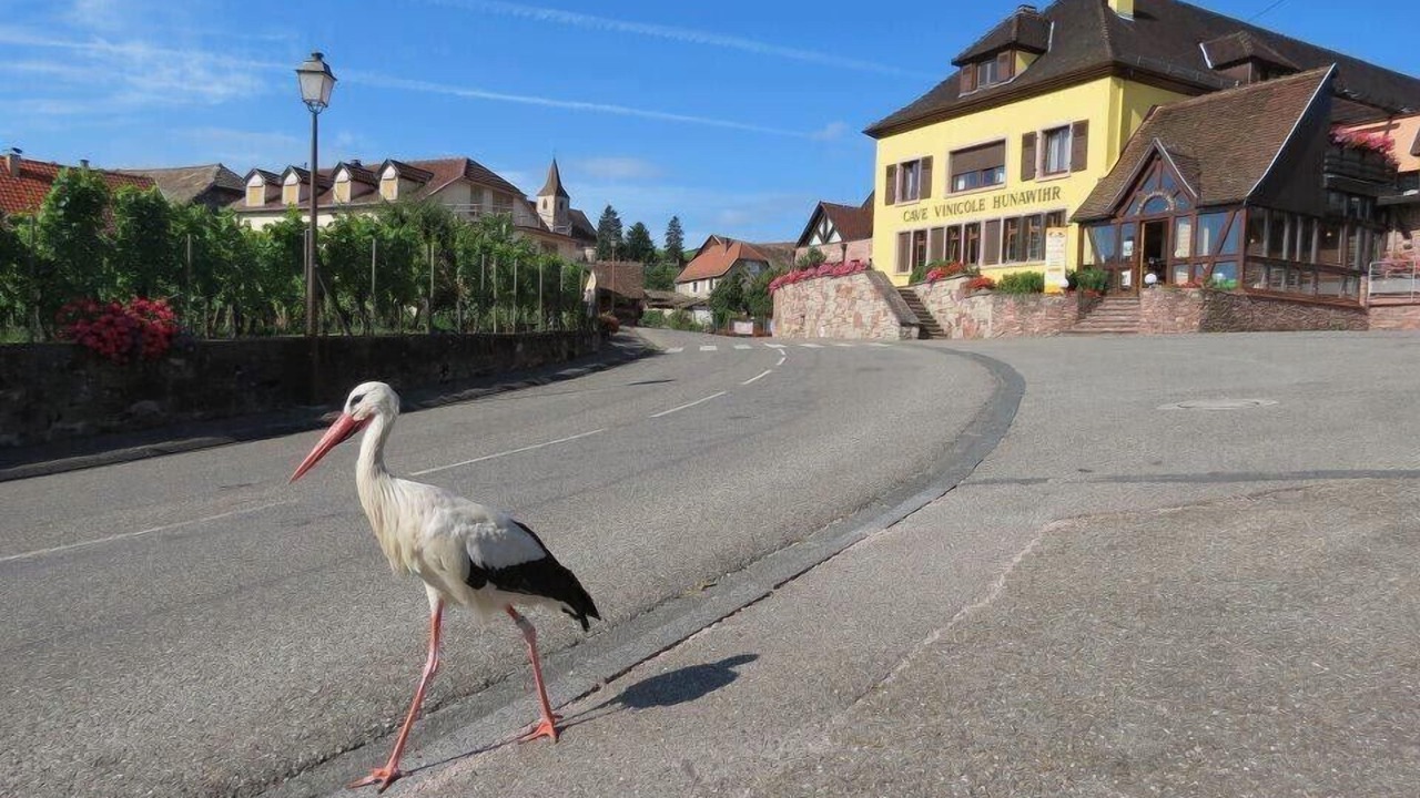 Photo of Outdoor in Hunawihr