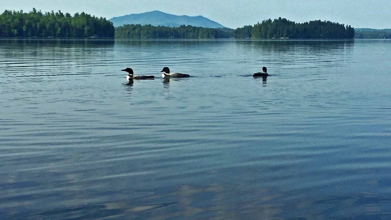 Photo of Others in Saranac Lake
