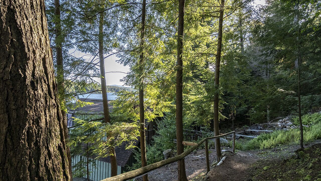 Photo of Others in Saranac Lake