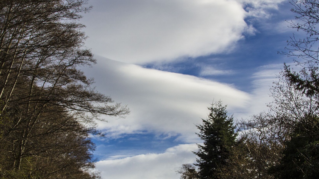 Photo of Others in Greenbank