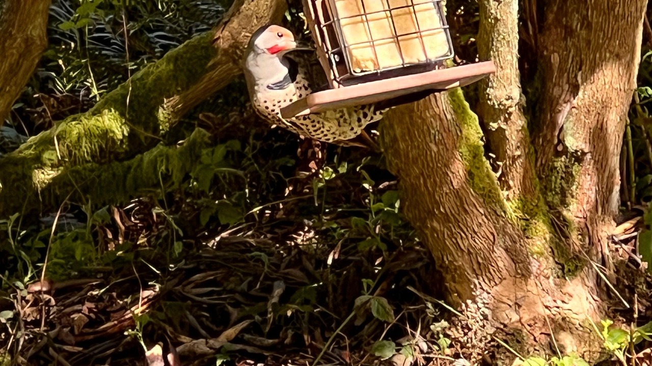 Photo of Others in Greenbank