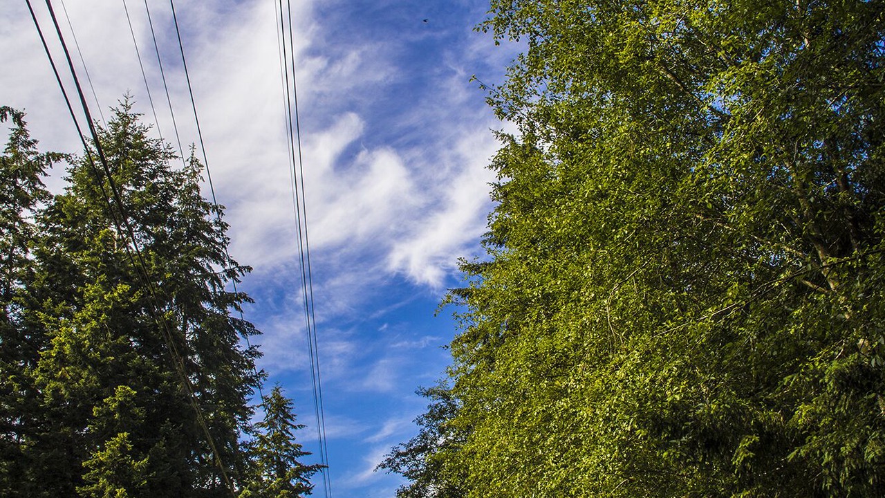 Photo of Others in Greenbank