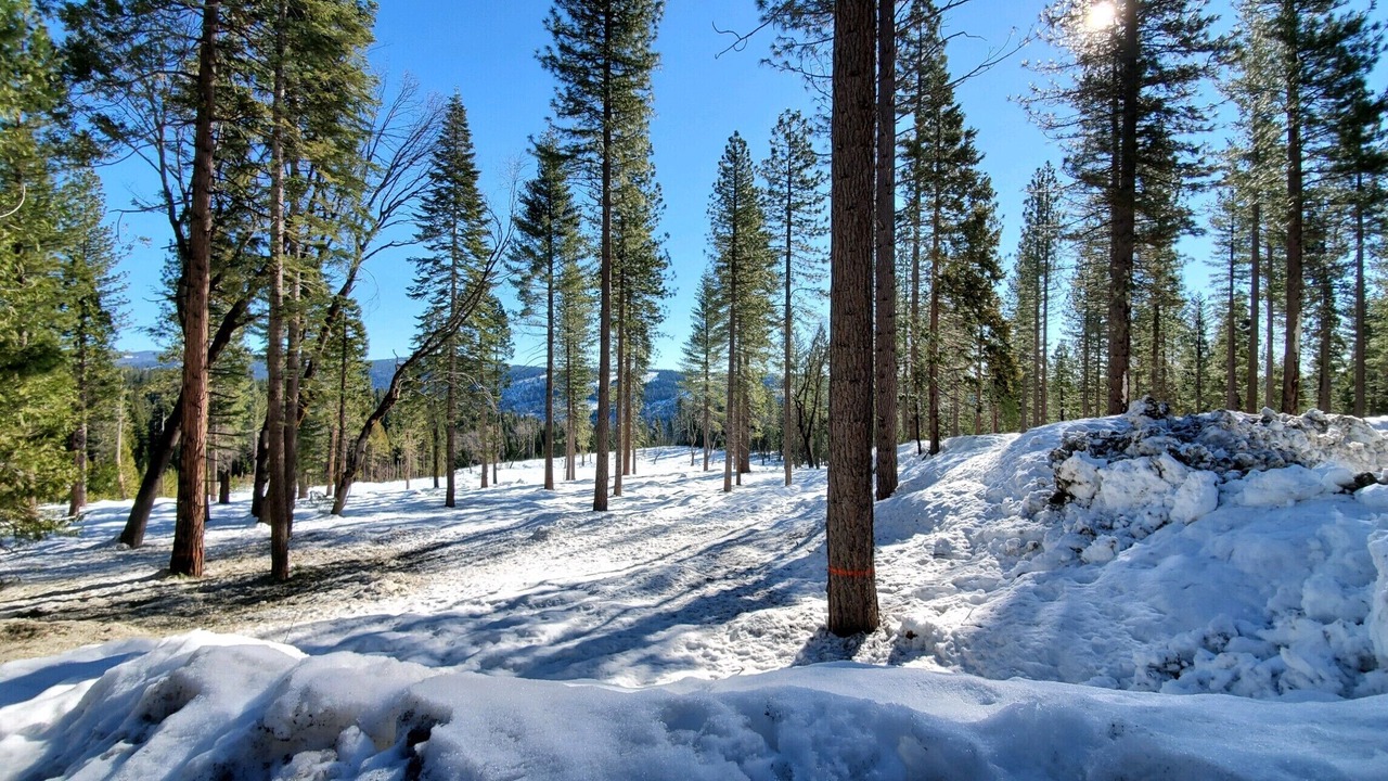 Photo of Others in Arnold