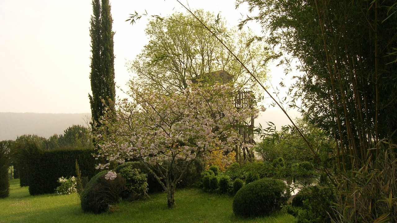 Photo of Outdoor in Cales