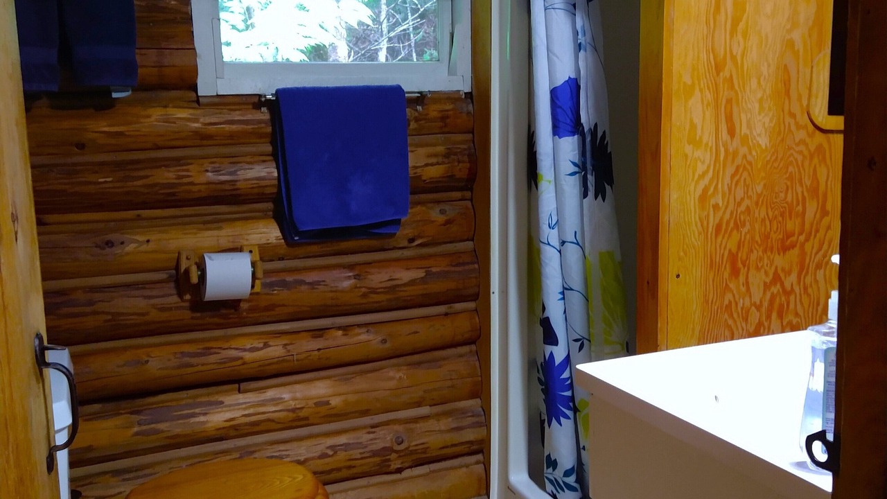 Photo of Bathroom in Dennysville