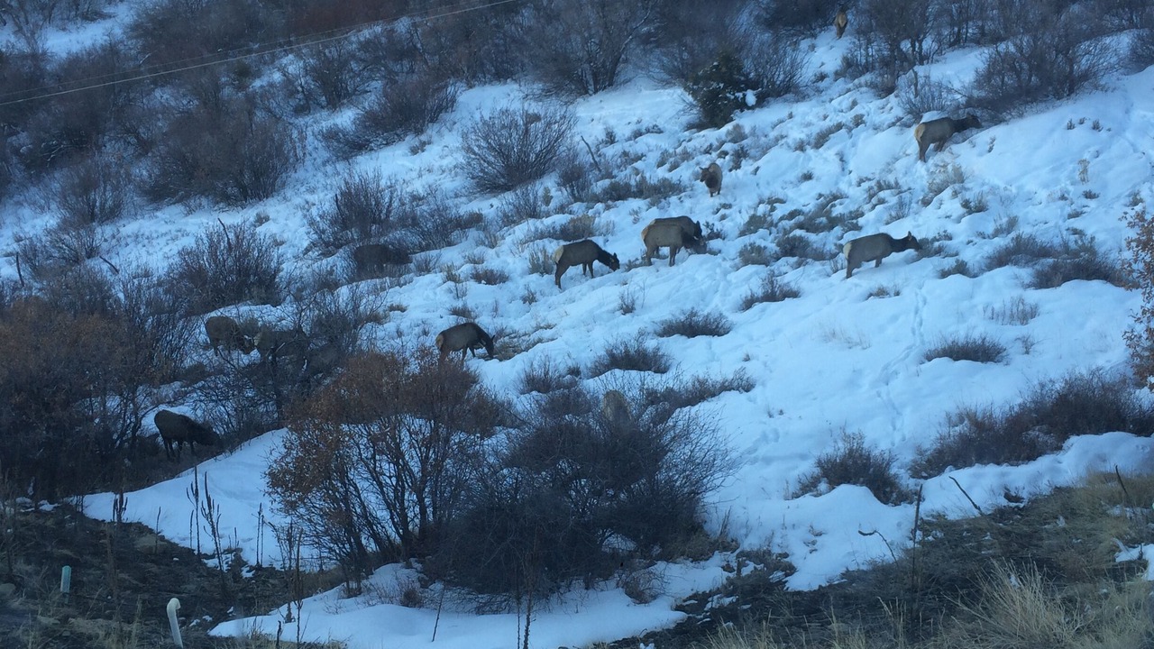 Photo of Others in Brush Creek Village