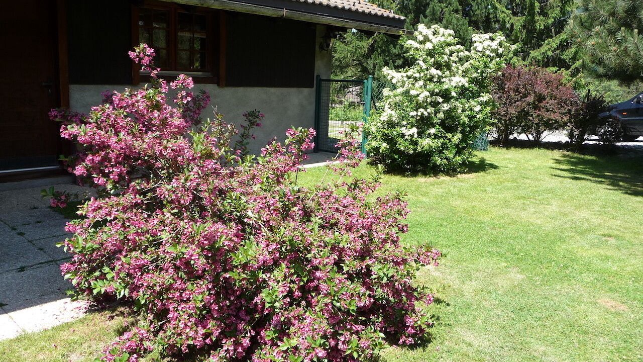 Photo of Outdoor in Saleinaz