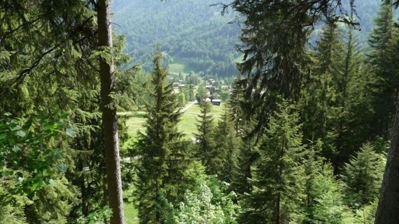 Photo of Others in Saleinaz