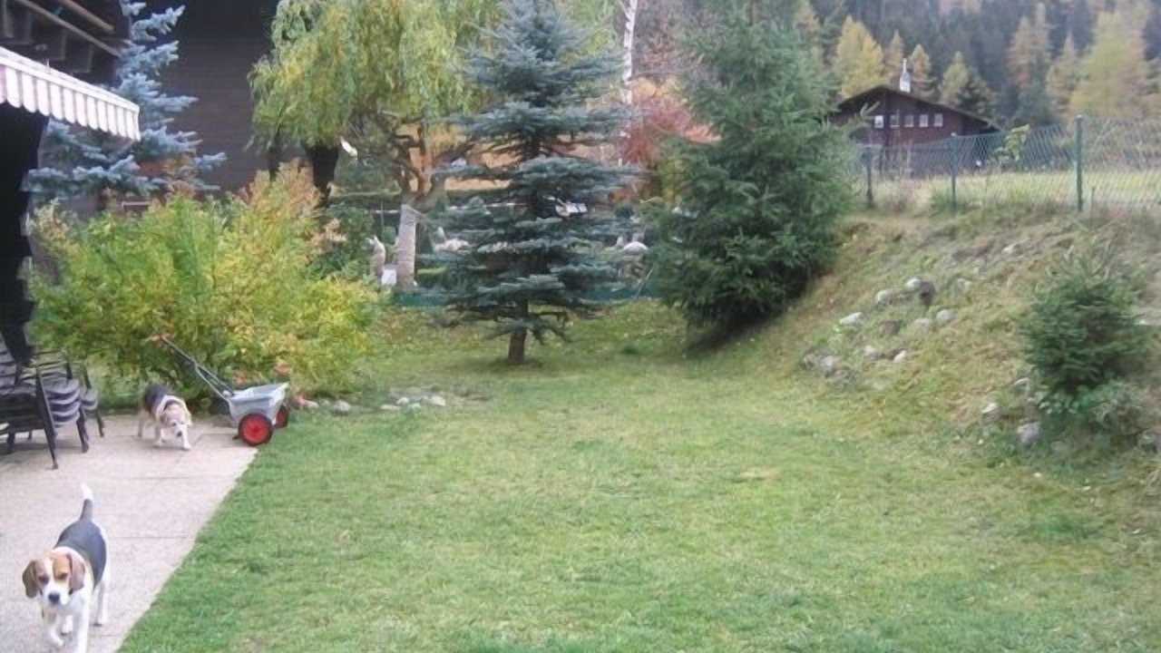 Photo of Outdoor in Saleinaz