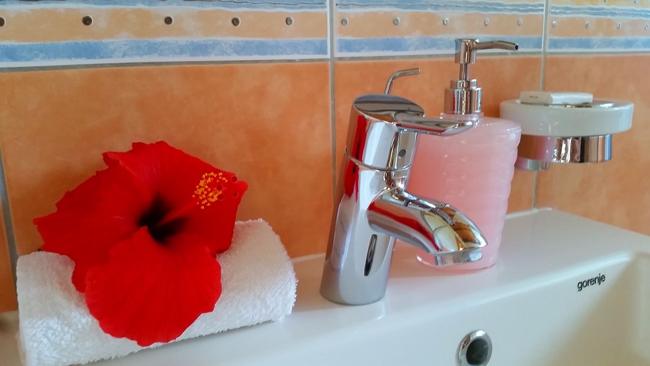 Photo of Bathroom in Milna