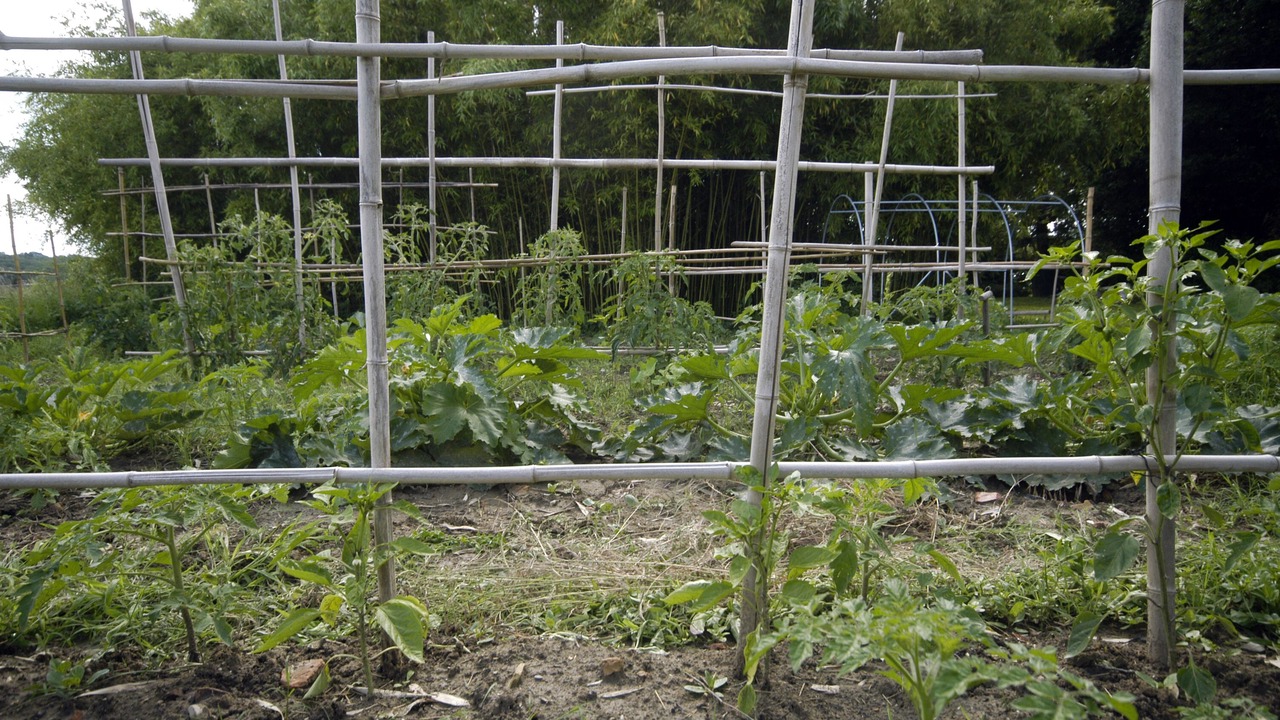 Photo of Outdoor in Birac-sur-Trec