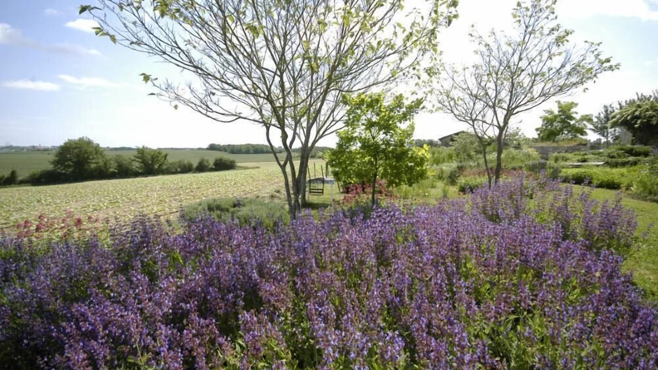 Photo of Outdoor in Birac-sur-Trec