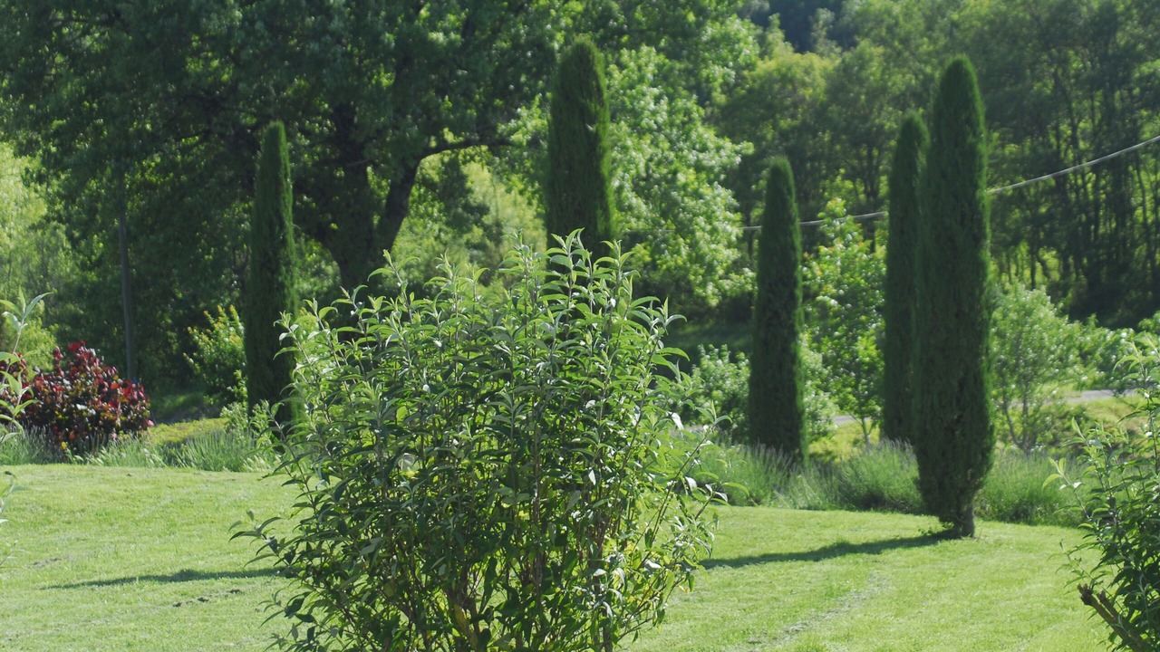 Photo of Outdoor in Sainte-Juliette