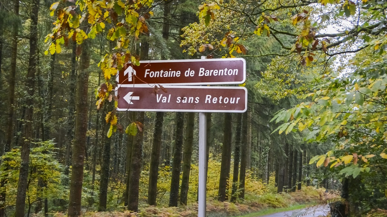 Photo of Outdoor in Saint-Martin-sur-Oust
