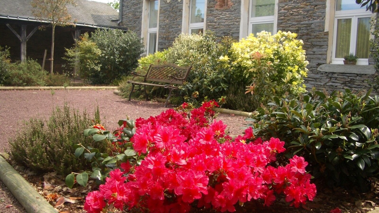 Photo of Outdoor in Saint-Martin-sur-Oust