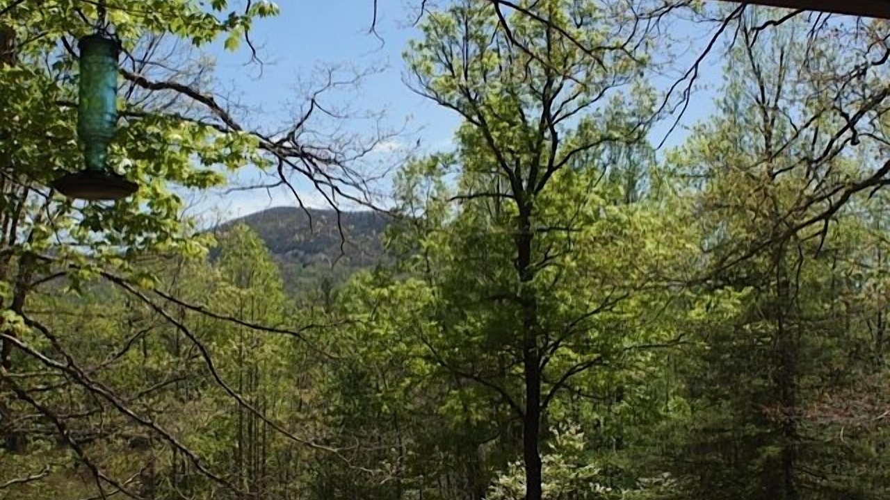 Photo of Outdoor in Hendersonville