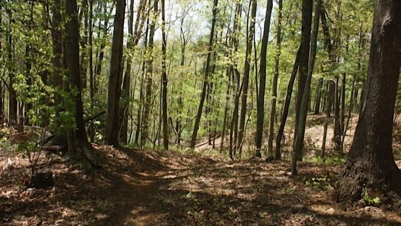 Photo of Others in Hendersonville