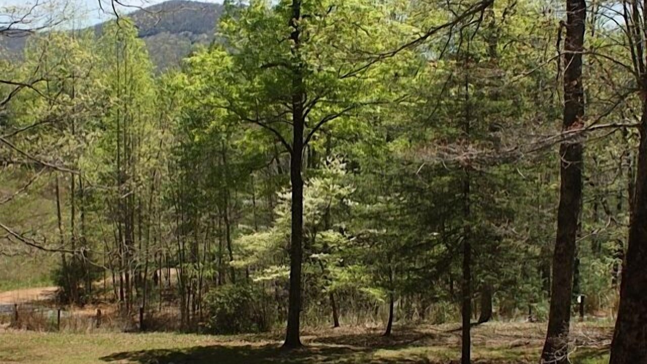 Photo of Outdoor in Hendersonville