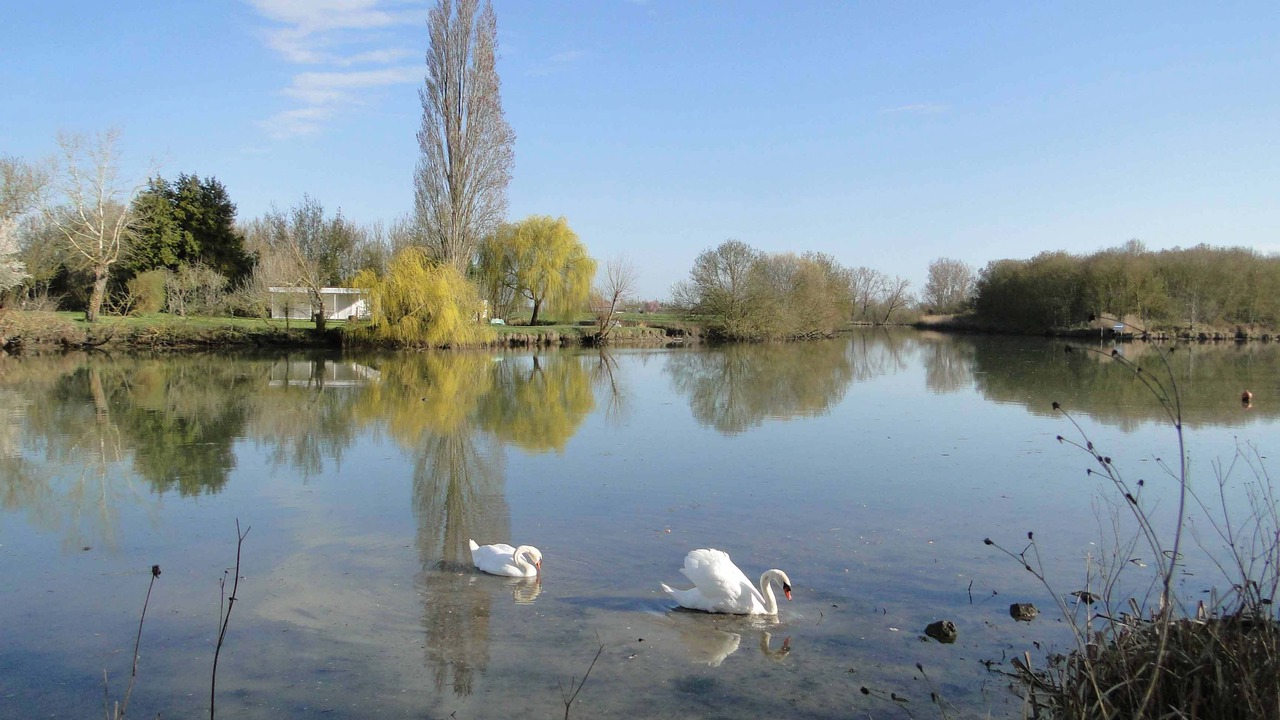 Photo of Outdoor in Saint-Jean-de-Liversay