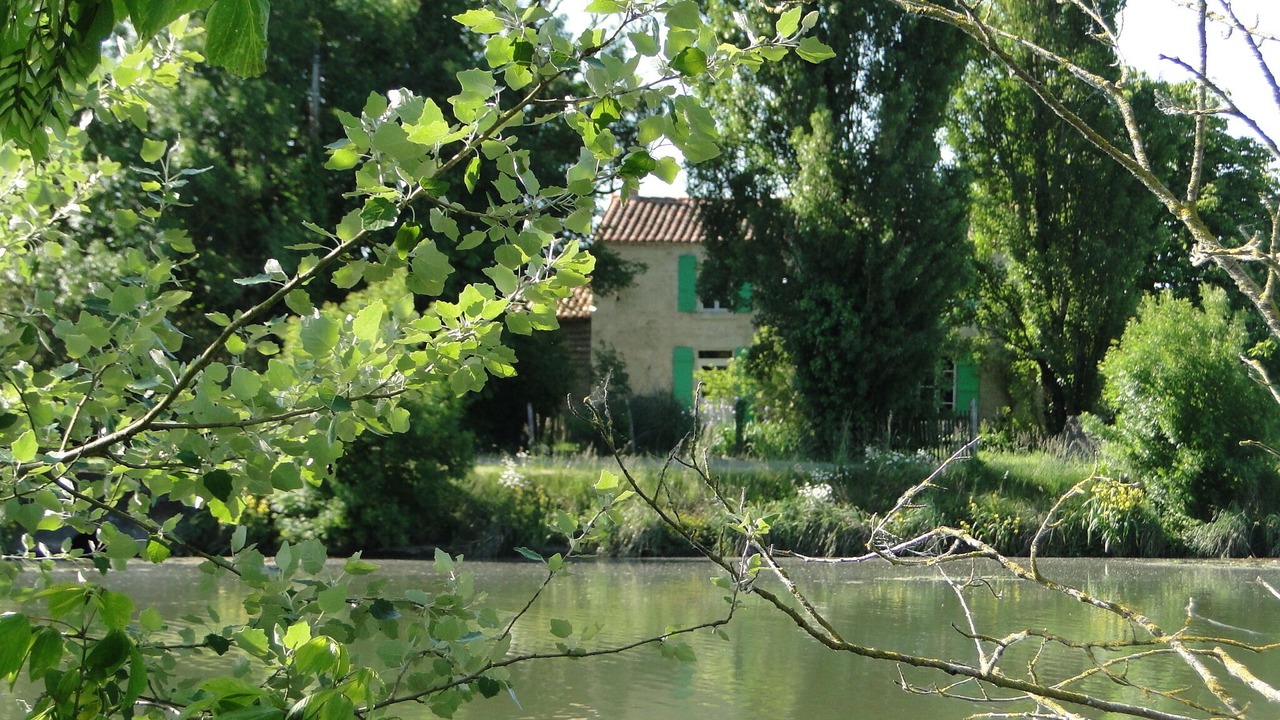 Photo of Outdoor in Saint-Jean-de-Liversay