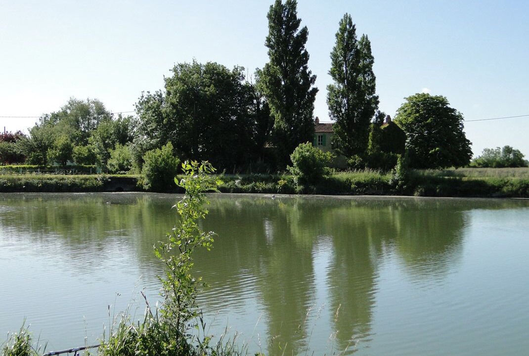Photo of Outdoor in Saint-Jean-de-Liversay