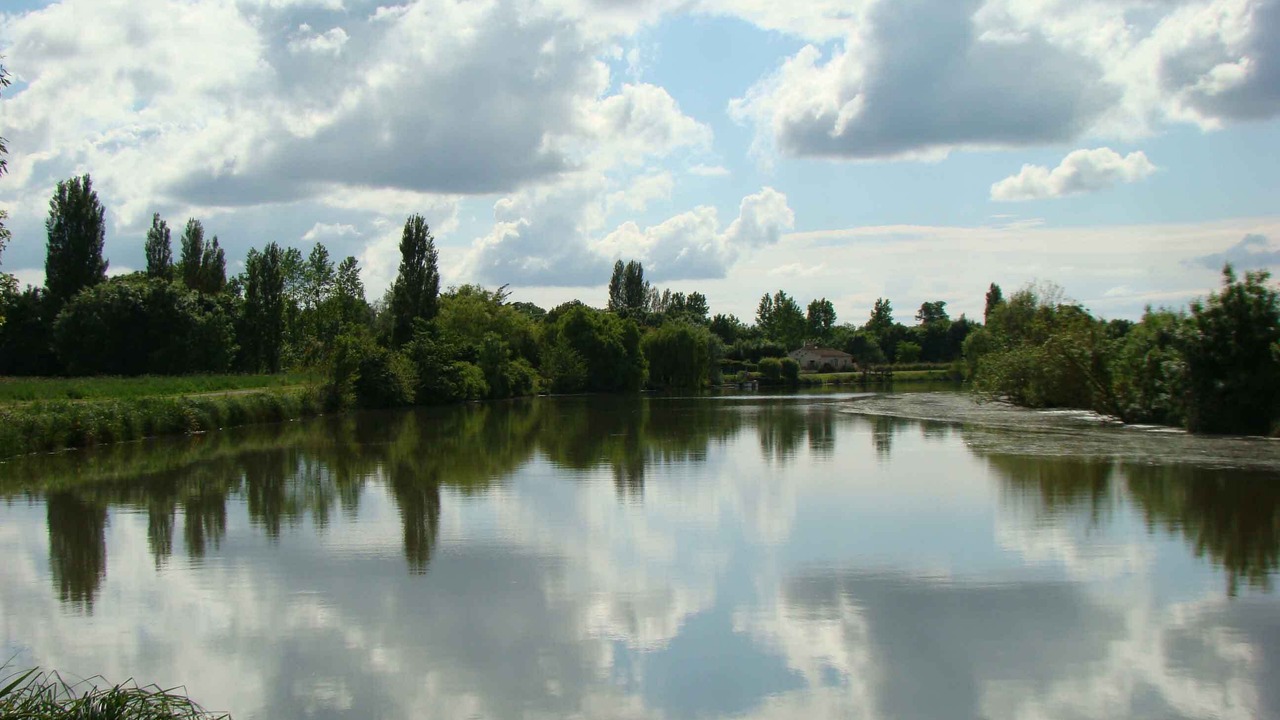 Photo of Outdoor in Saint-Jean-de-Liversay