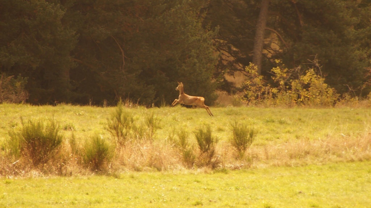Photo of Outdoor in Lachapelle-Graillouse
