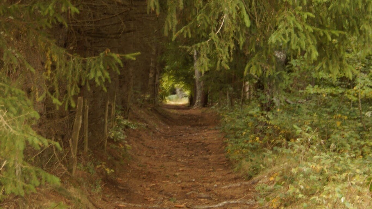 Photo of Outdoor in Lachapelle-Graillouse