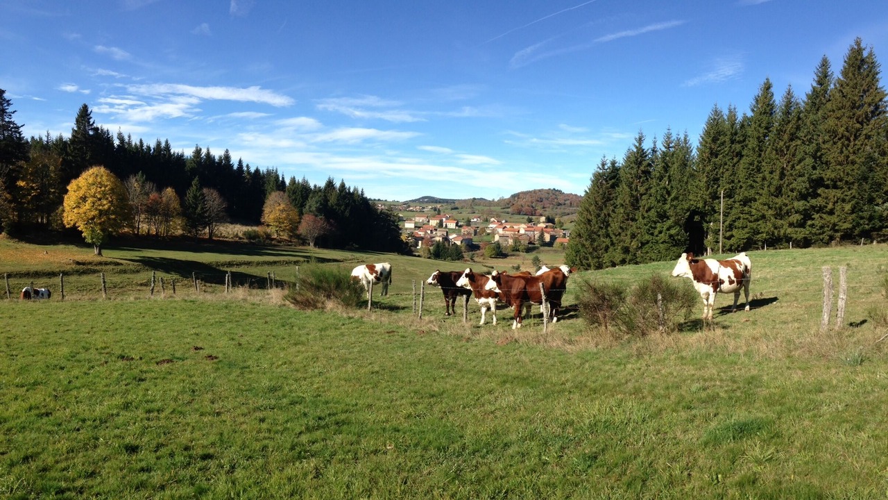 Photo of Outdoor in Lachapelle-Graillouse