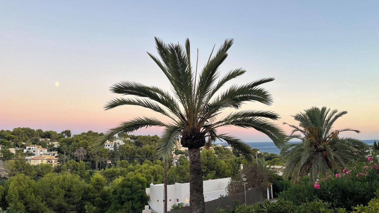 Photo of Outdoor in San Jaime