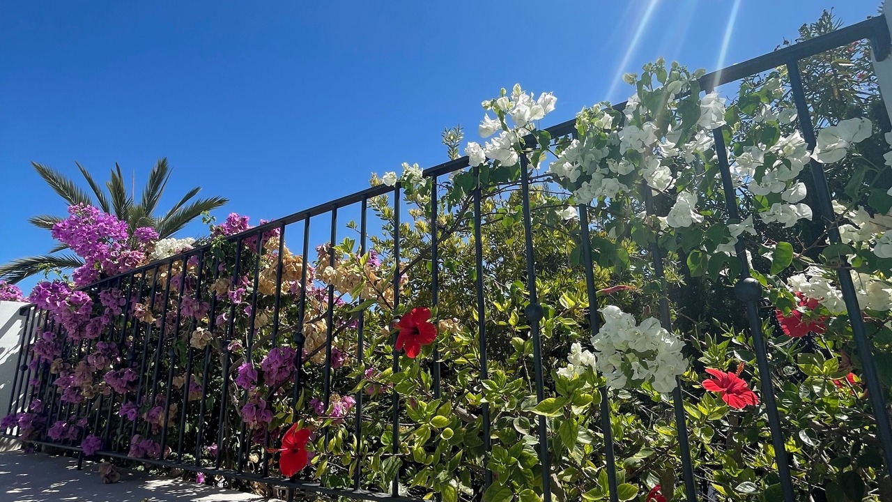 Photo of Outdoor in San Jaime