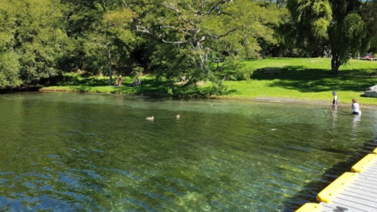 Photo of Others in Acacia Bay