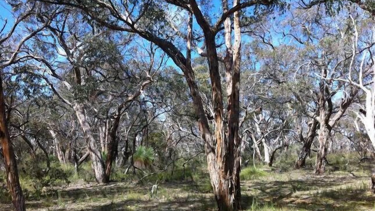 Photo of Others in Bellbrae