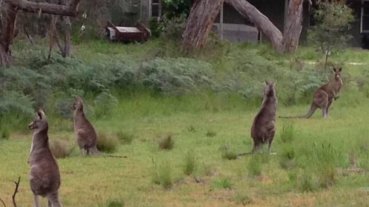 Photo of Others in Bellbrae
