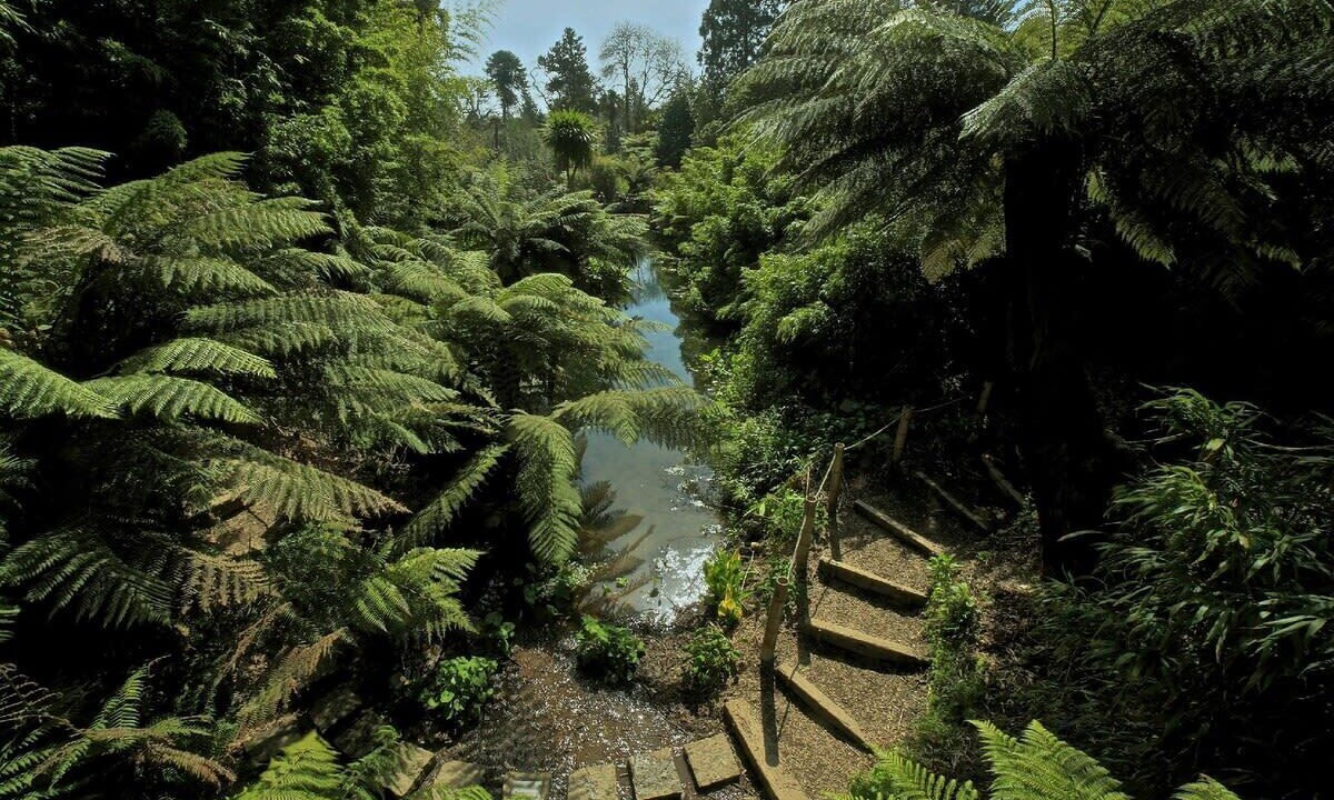 Photo of Others in Saint Goran