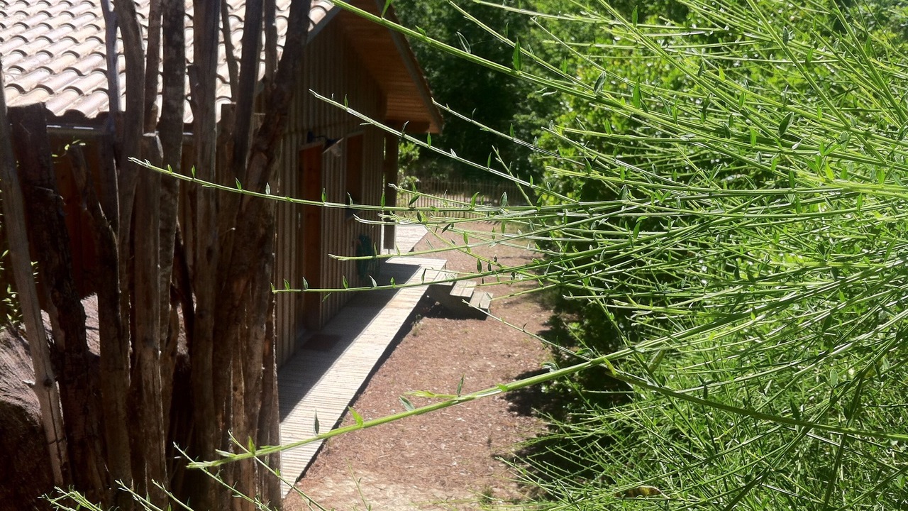 Photo of Outdoor in Le Canon