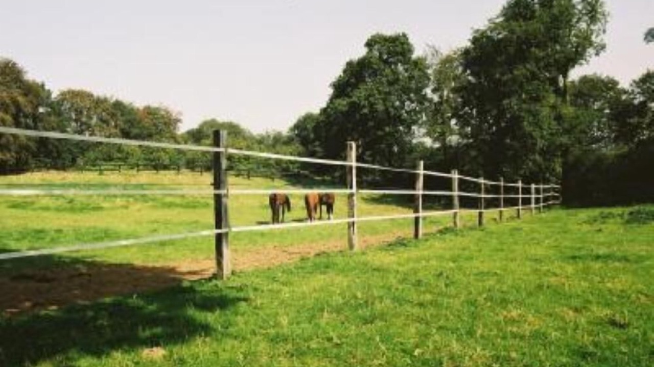 Photo of Outdoor in Magoar