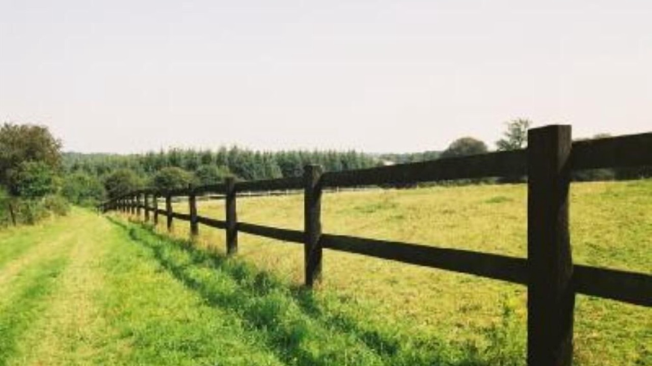 Photo of Outdoor in Magoar