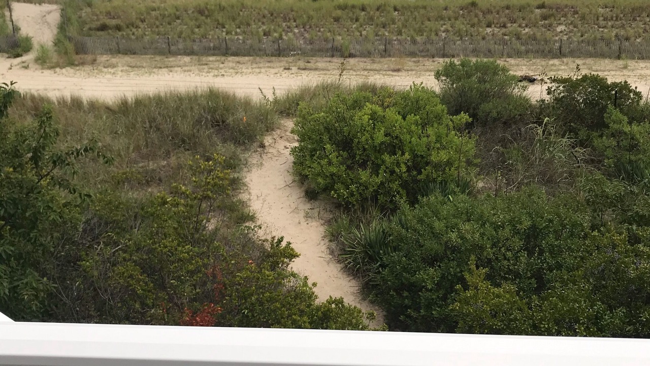 Photo of Outdoor in Broadkill Beach