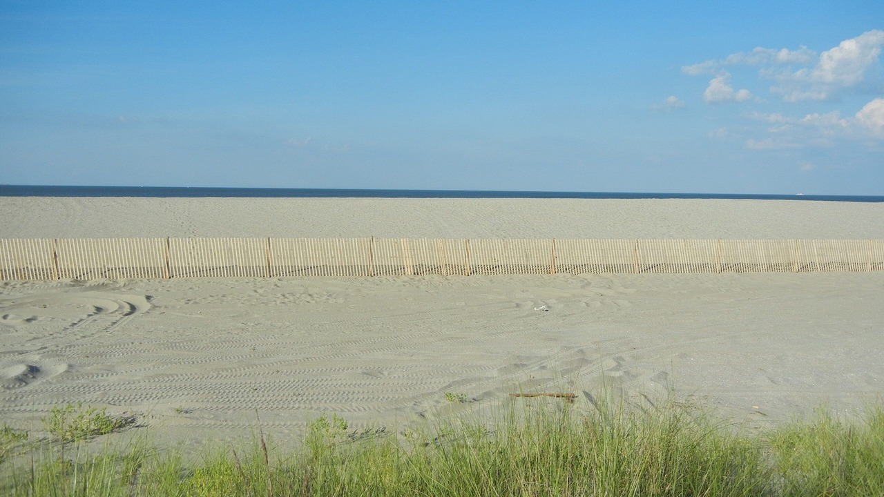 Photo of Others in Broadkill Beach