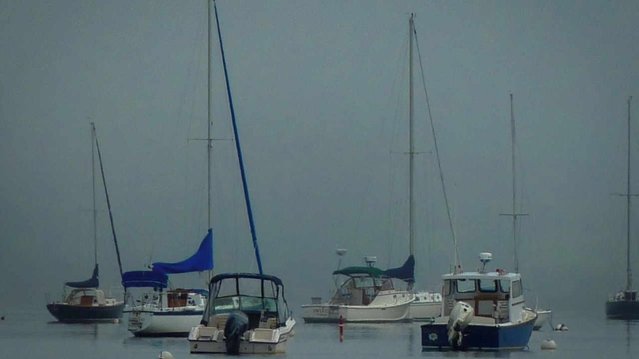 Photo of Others in Pemaquid Beach