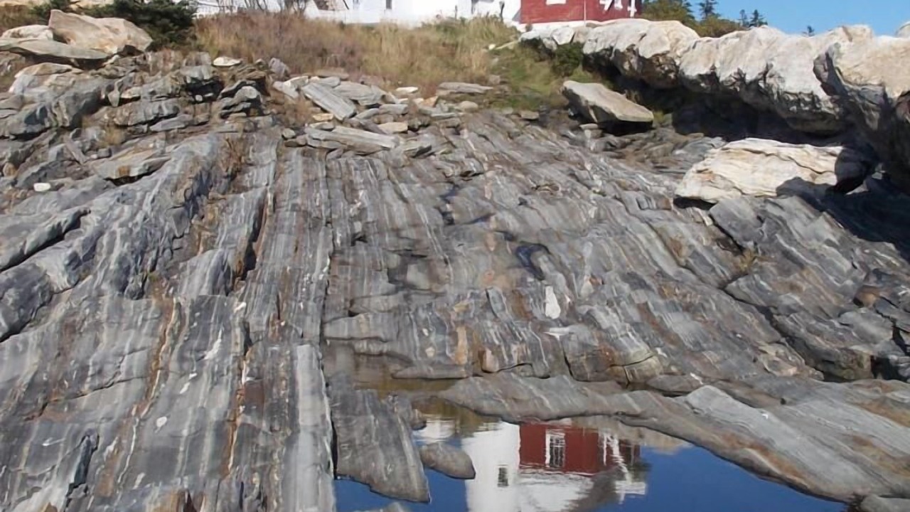 Photo of Others in Pemaquid Beach
