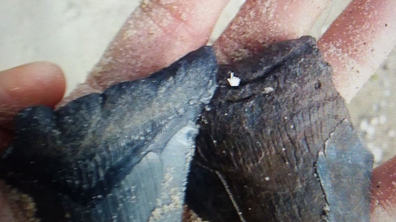 Photo of Others in Calvert Beach-Long Beach